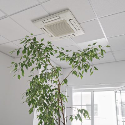 Cassette air conditioner on ceiling in modern light office or apartment with green ficus plant leaves. Indoor air quality and clean filters concept