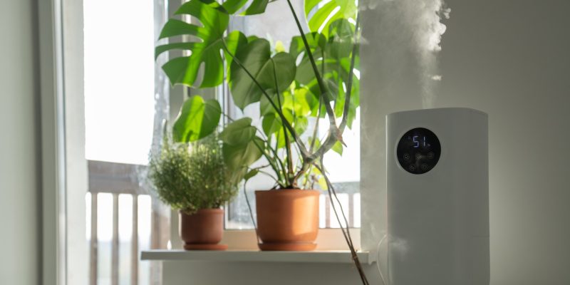 Modern humidifier at home, moistens dry air surrounded by indoor Monstera houseplant. Humidification, plant care, comfortable living conditions concept. Diffuser, apartment with moisturizer